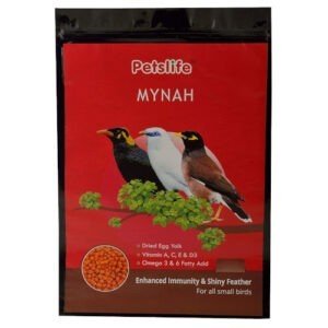 birds food online