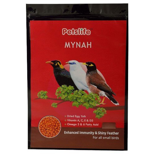 what is myna bird favourite food
