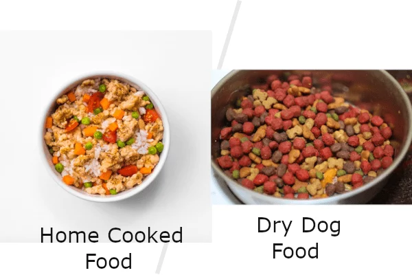 dog food