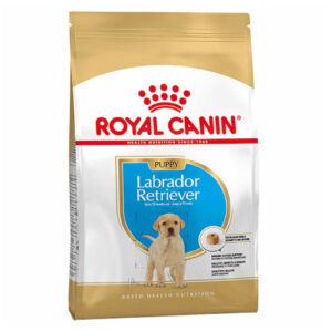 royal canin labrador junior
